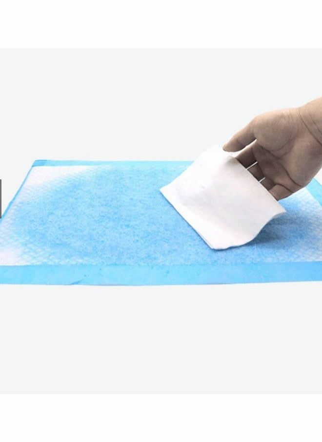 HQ-GAMING - 100PCS  Pet Training Pad S Dog Pee Training Pad Cat Pee Pad Pet Wee Pee  Diape - Image 1