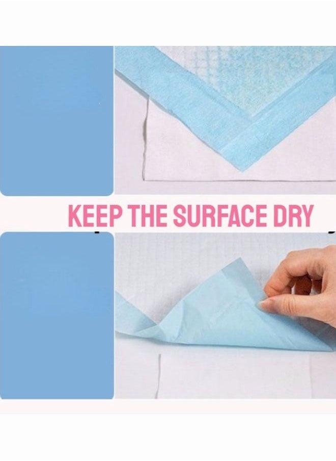 HQ-GAMING - 100PCS  Pet Training Pad S Dog Pee Training Pad Cat Pee Pad Pet Wee Pee  Diape - Image 1