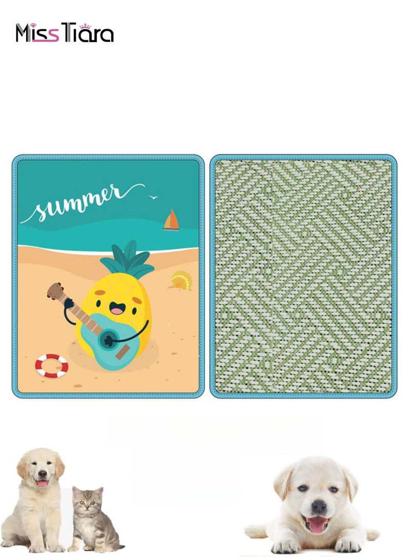 MissTiara Pet mat double-sided sleeping pad for cats and dogs in summer  - Image 1