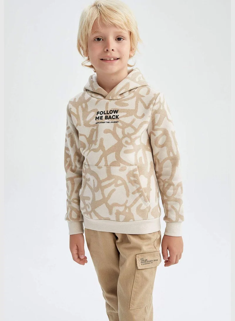 DeFacto Boy Regular Fit Hooded Long Sleeve Knitted Sweatshirt