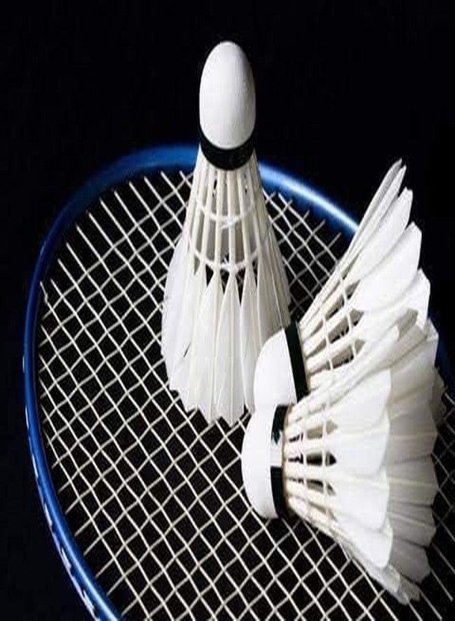 PlantaZee Shuttlecock White Feather Badminton Shuttle Cock - (Pack of 10) SS - Image 4