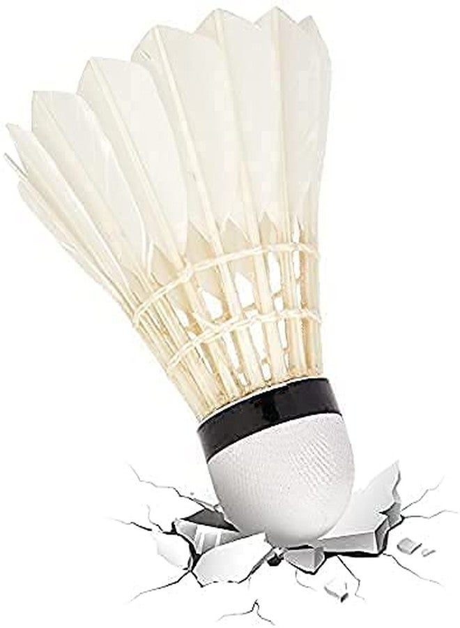 PlantaZee Shuttlecock White Feather Badminton Shuttle Cock - (Pack of 10) SS - Image 3