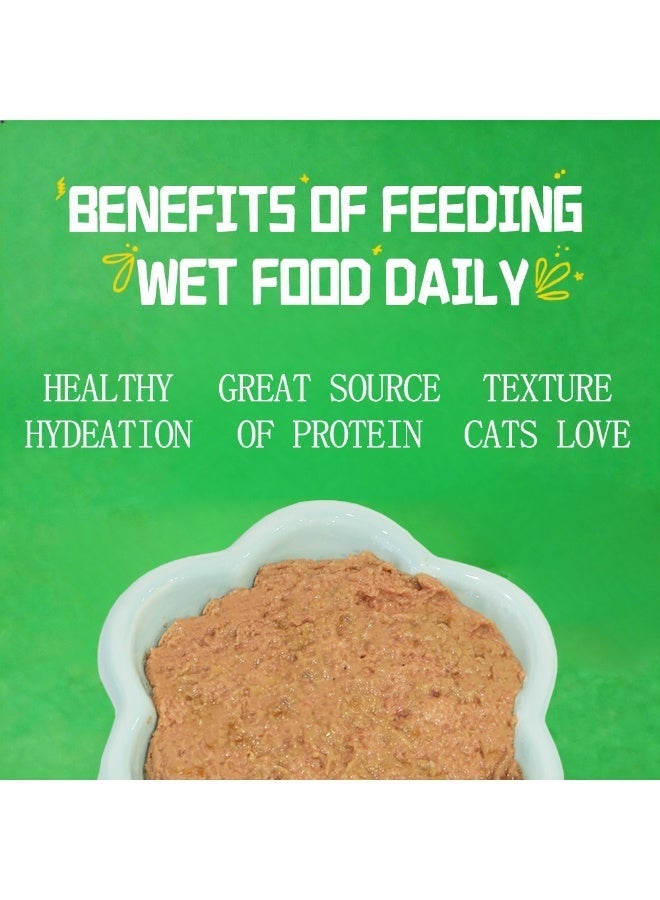 Petfull Chicken Wet Cat Food – 170g Grain-Free Canned Cat Food with Salmon Oil – Hydrolyzed Protein for Easy Digestion – Complete & Balanced Main Meal for Adult Cats - Image 3
