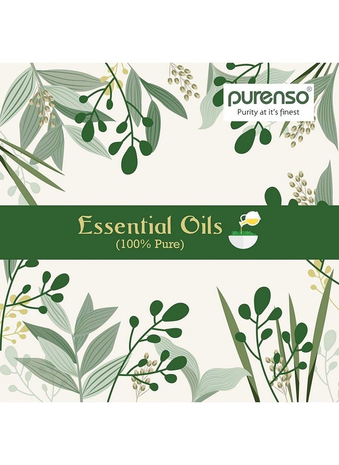 Purenso Select - Bhringraj Oil, 500g I Carrier Oil for Soap Making, Creams, Lotions, Lip balm, DIY - pzsku/ZCB5C326F986A07A03B1EZ/45/_/1736426772/14ec7403-833f-4f56-a946-e2473dd08893