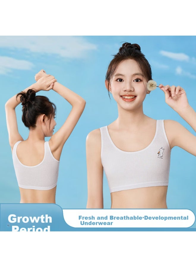 Snowflying Girls' Bra Developmental Period 8-12 Years Old Children's Bra Student Girls Seamless Breathable Sports Camisole 2-pack - Image 3