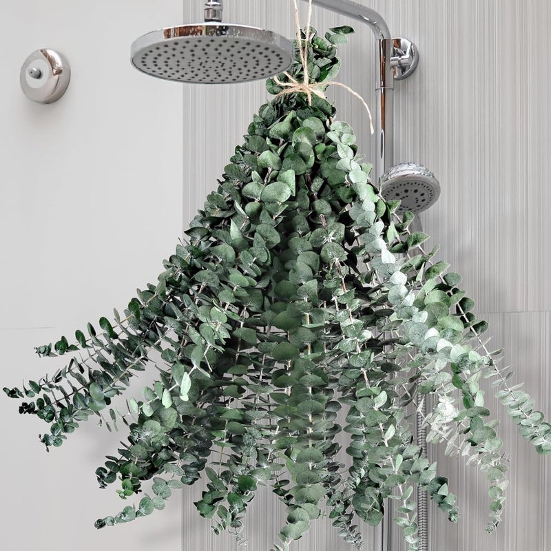 Koceko 24 Pcs Dried Eucalyptus for Shower Hanging - 17'' Real Large Preserved Eucalyptus Stems Green Home Decor, 100% Made from Fresh Eucalyptus Leaves, Bathroom Shower Decor, Wedding, DIY - Image 1