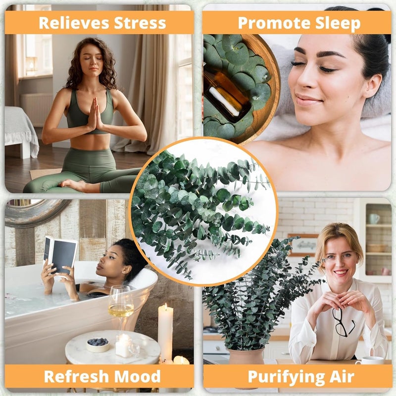Koceko 24 Pcs Dried Eucalyptus for Shower Hanging - 17'' Real Large Preserved Eucalyptus Stems Green Home Decor, 100% Made from Fresh Eucalyptus Leaves, Bathroom Shower Decor, Wedding, DIY - Image 4
