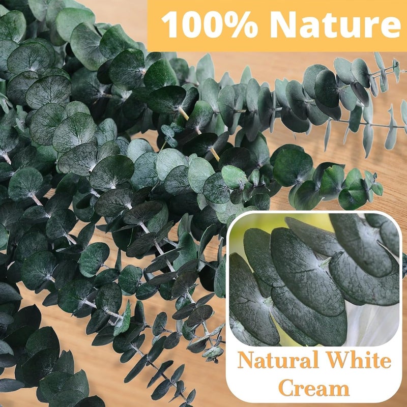 Koceko 24 Pcs Dried Eucalyptus for Shower Hanging - 17'' Real Large Preserved Eucalyptus Stems Green Home Decor, 100% Made from Fresh Eucalyptus Leaves, Bathroom Shower Decor, Wedding, DIY - Image 5