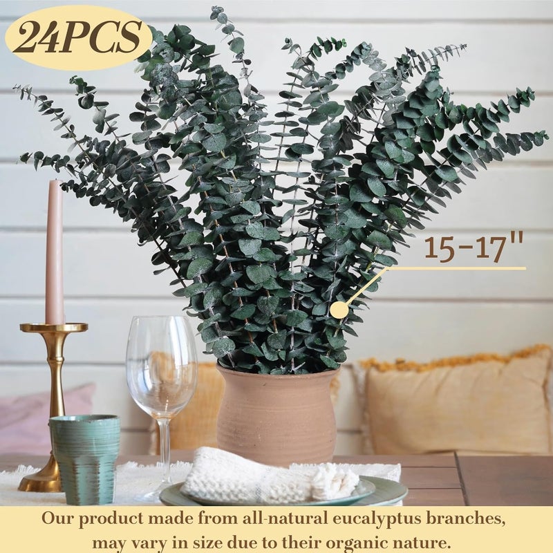 Koceko 24 Pcs Dried Eucalyptus for Shower Hanging - 17'' Real Large Preserved Eucalyptus Stems Green Home Decor, 100% Made from Fresh Eucalyptus Leaves, Bathroom Shower Decor, Wedding, DIY - Image 3