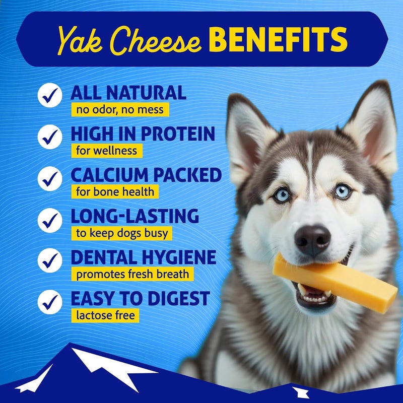 Himalayan Dog Chew Treats with Yak Cheese for Dogs 35 lbs and Under - Medium Size - Image 2