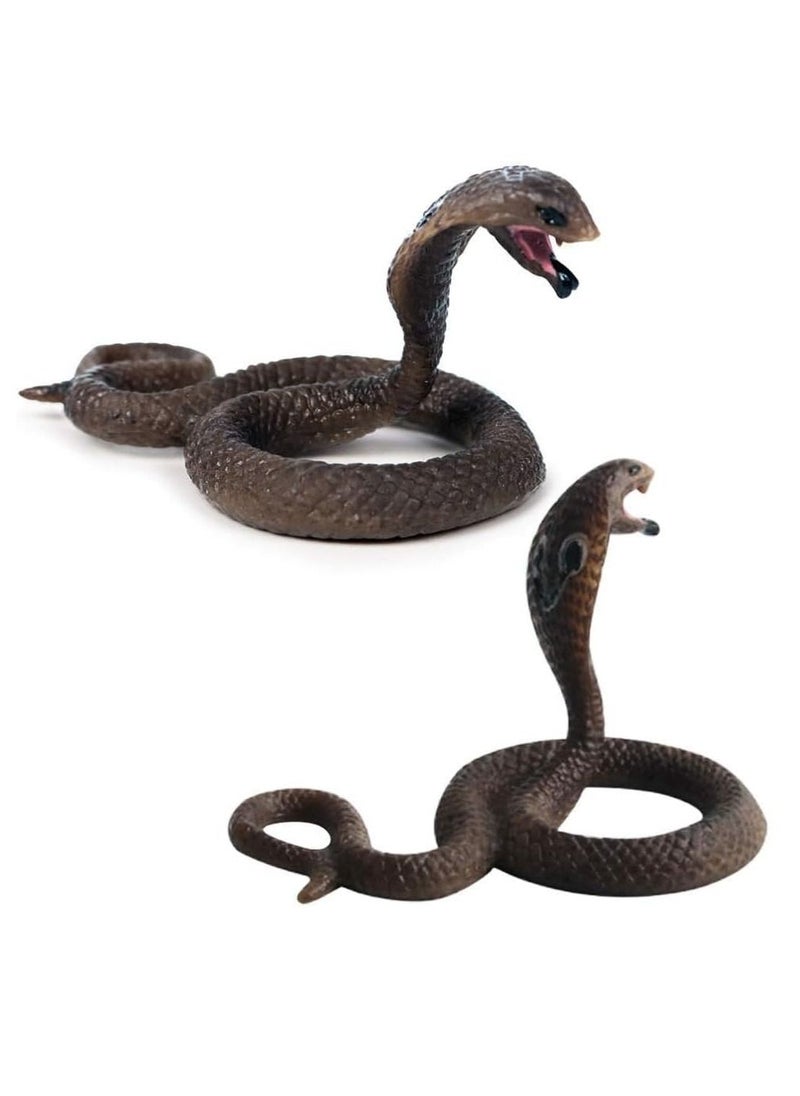 Y&D Realistic Wild Life, 4Pcs Action Model Lifelike Snake Toy Figurines Prank Props Stress Relif Toys Educational Birthday Gift for Kids  - Image 4