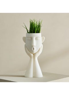 هوم بوكس نبات تاريا فوغورين في وعاء - 10x10x31 سم  - Image 2