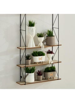 هوم بوكس نبات تاريا فوغورين في وعاء - 10x10x31 سم  - Image 4