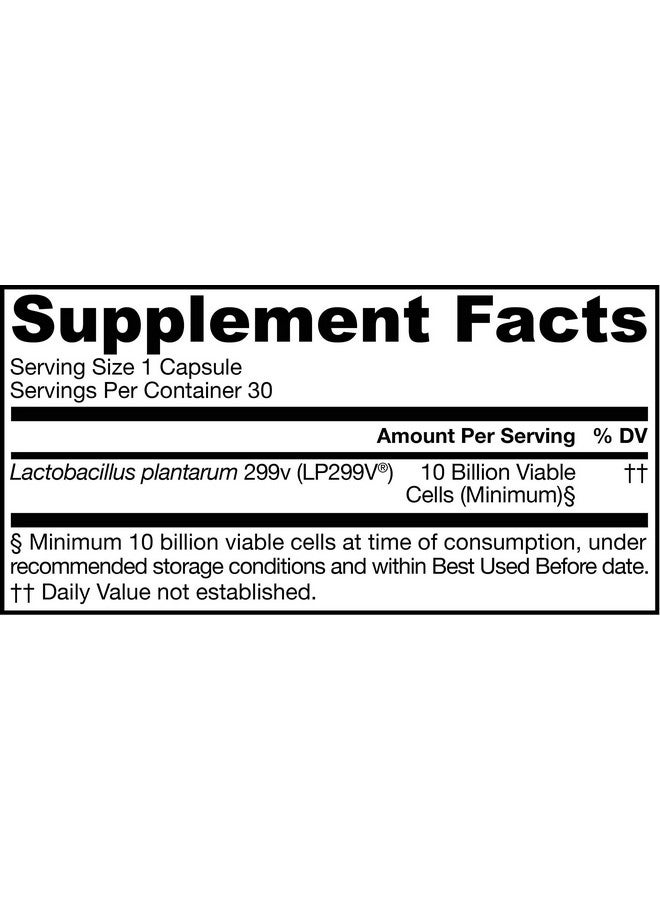 jarrow formulas دعم الأمعاء المثالي Lp299V يقلل من الانتفاخ والغازات وعدم الراحة المعوية* ويدعم الانتظام 10 مليار خلية 30 كبسولة نباتية - Image 2