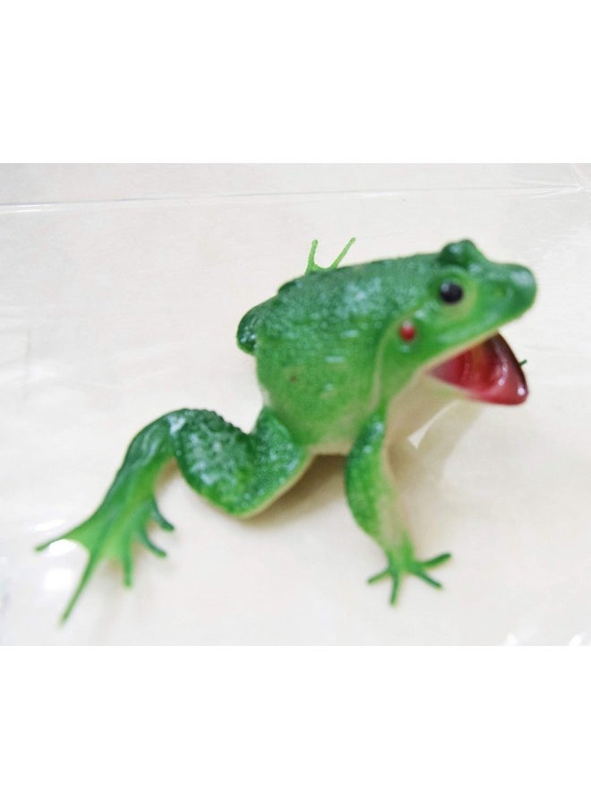 Dhinchak Dhinchak rubber Art box rubber frog make choo-choo noise, Multicolour  - Image 3