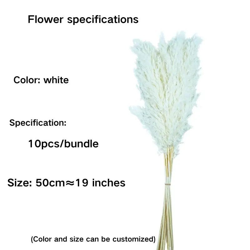 Bluejw Natural Dried Pampas Grass Decor - Small Pampas Reeds in Natural Colors - Perfect for Wedding, Christmas, and Dried Plants Arrangements - Image 1