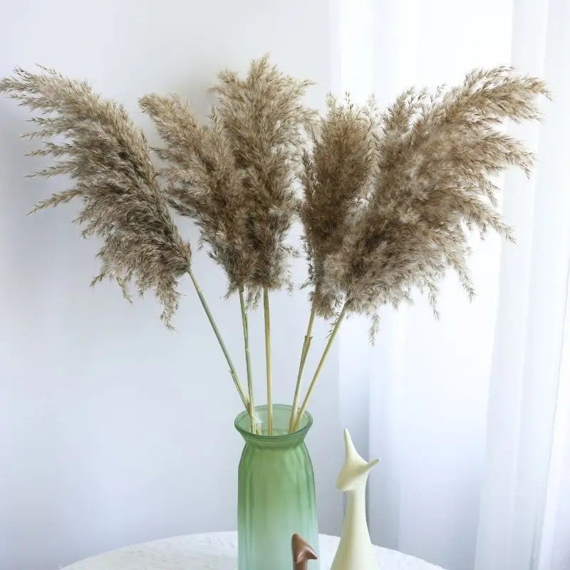 Bluejw Natural Dried Pampas Grass Decor - Small Pampas Reeds in Natural Colors - Perfect for Wedding, Christmas, and Dried Plants Arrangements - Image 2