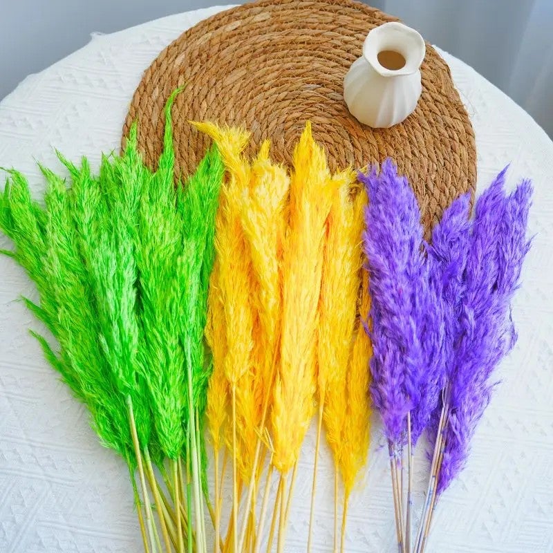 Bluejw Natural Dried Pampas Grass Decor - Small Pampas Reeds in Natural Colors - Perfect for Wedding, Christmas, and Dried Plants Arrangements - Image 3