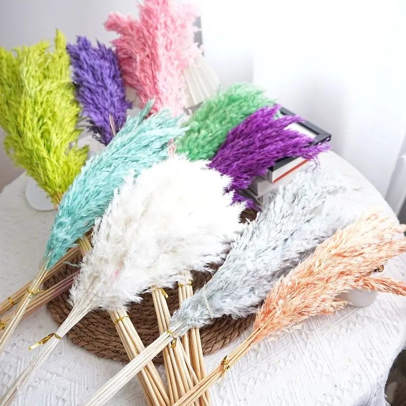 Bluejw Natural Dried Pampas Grass Decor - Small Pampas Reeds in Natural Colors - Perfect for Wedding, Christmas, and Dried Plants Arrangements - Image 4