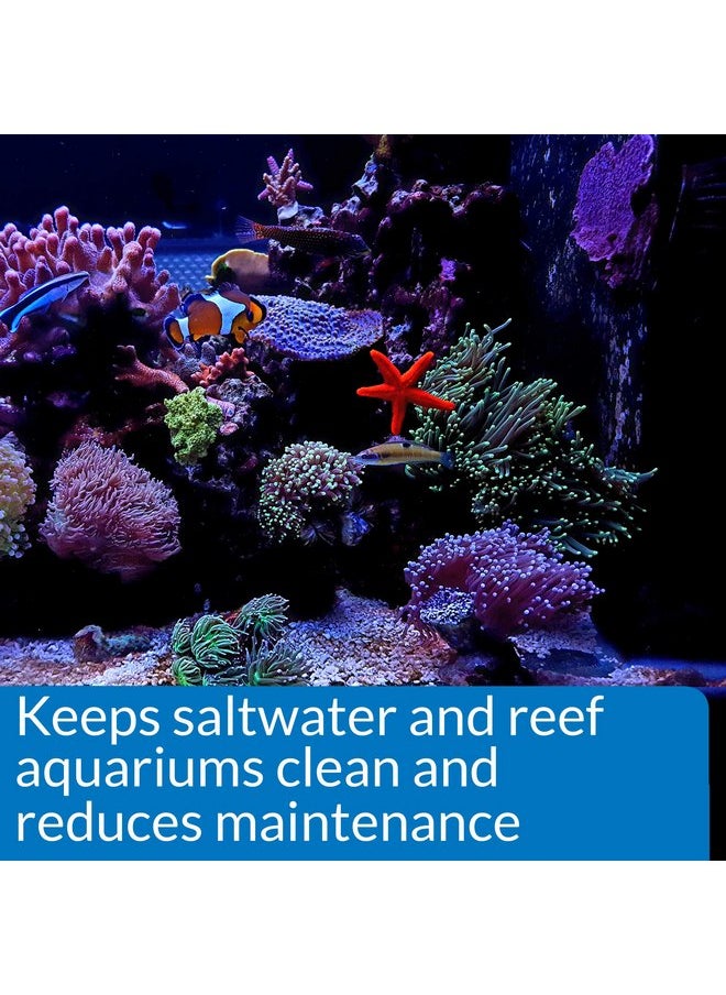 API - API Marine Stress Zyme Saltwater Aquarium Cleaning Solution 16-Ounce Bottle - Image 1