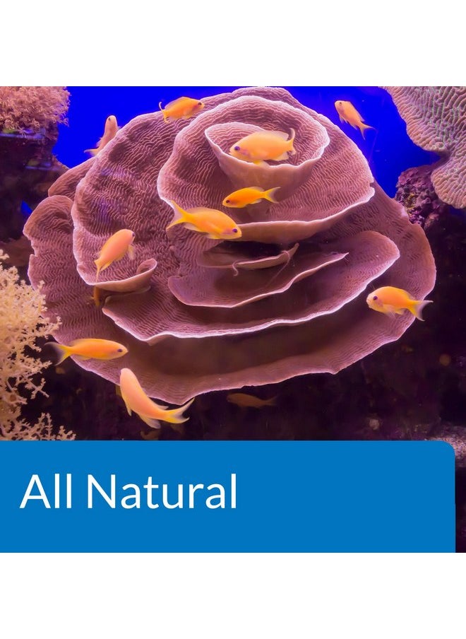 API - API Marine Stress Zyme Saltwater Aquarium Cleaning Solution 16-Ounce Bottle - Image 1