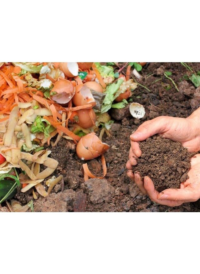 Generic SKGs Store Kitchen Waste Decomposer All in one Bio decomposer Kitchen Waste Compost Maker for Organic Compost Food Waste decomposer for All Kitchen Waste and biodegradable Waste 5 Kg  - Image 4