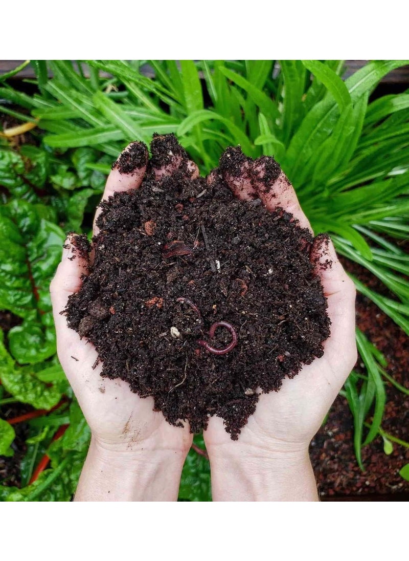 Generic SKGs Store Kitchen Waste Decomposer All in one Bio decomposer Kitchen Waste Compost Maker for Organic Compost Food Waste decomposer for All Kitchen Waste and biodegradable Waste 5 Kg  - Image 5