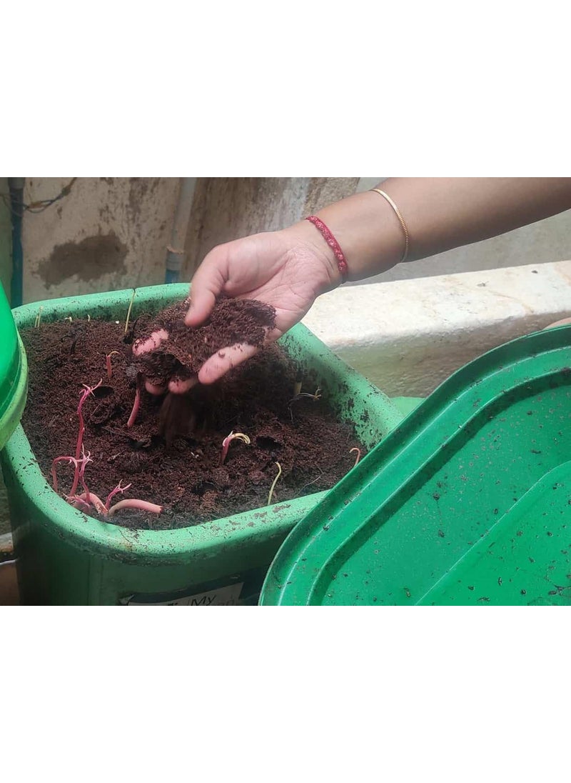 Generic SKGs Store Kitchen Waste Decomposer All in one Bio decomposer Kitchen Waste Compost Maker for Organic Compost Food Waste decomposer for All Kitchen Waste and biodegradable Waste 5 Kg  - Image 2