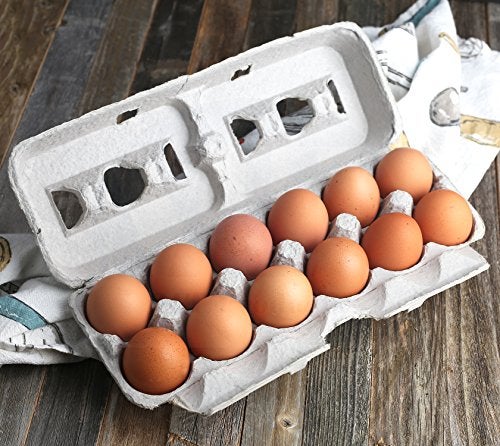 MT Products Printed Natural Pulp Egg Cartons 1 Dozen - Disposable Egg Storage Container (Pack of 25) - Made in the USA - Image 4