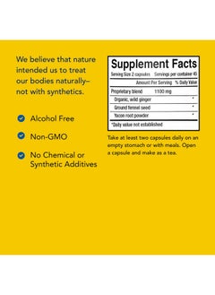 North American Herb & Spice Gingamax 90 Capsules Ceylon Ginger Digestive Support Nongmo 45 Servings  - Image 4