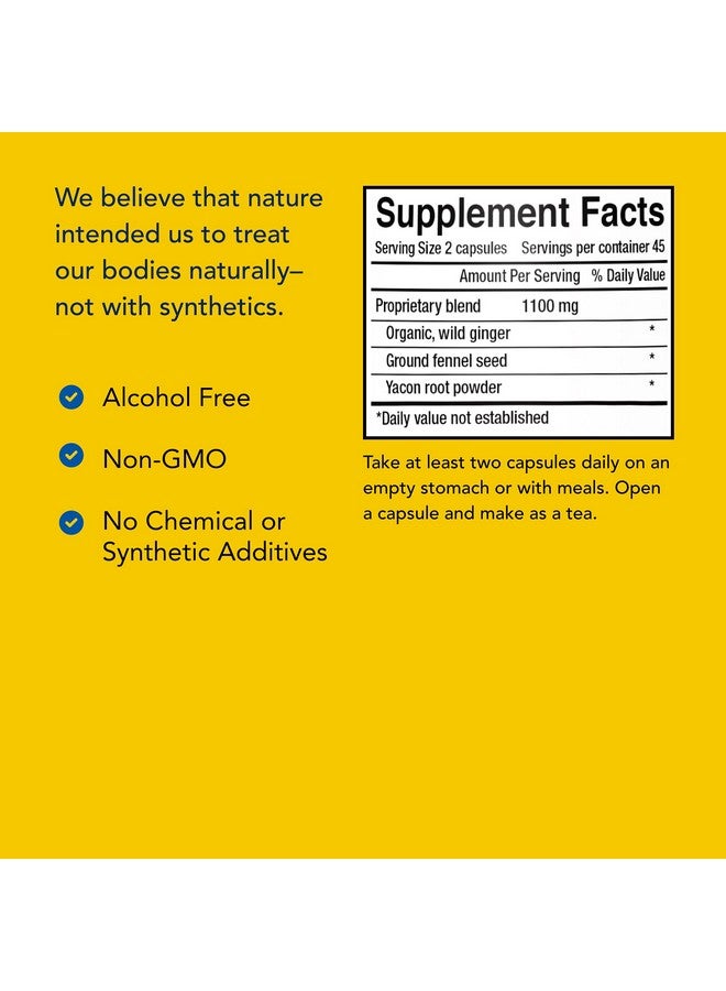 North American Herb & Spice Gingamax 90 Capsules Ceylon Ginger Digestive Support Nongmo 45 Servings - Image 4