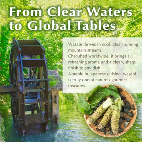 TIKUSAN Japanese Wooden Wasabi Grater (Wasabi Oroshi) for Ginger and Garlic with Bamboo Brush Made in Japan - Image 5
