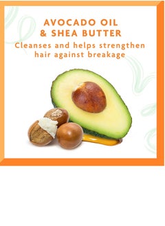 CANTO Cantu Shea Butter Avocado Sulfate Free Moisturizing Shampoo, 400 ml  - Image 3