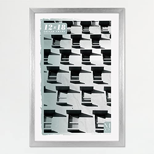 MCS Foundation 12x18 Poster Frame Traditional Silver Vertical  Horizontal Wall Hanging Large Picture Frame for Photos Posters  Art Prints 1Pack