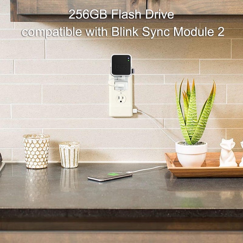 256GB Blink USB Flash Drive, Compatible with Blink Sync Module 2, Outlet Wall Mount for Space-Saving, Stable & Secure Storage - Image 3