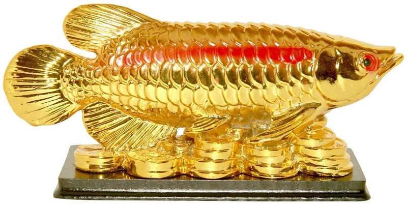 RIPE INDIA® Vastu & Feng Shui Arowana Fish On Money Coins Wealth and Success - Image 1