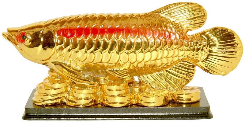 RIPE INDIA® Vastu & Feng Shui Arowana Fish On Money Coins Wealth and Success - Image 4
