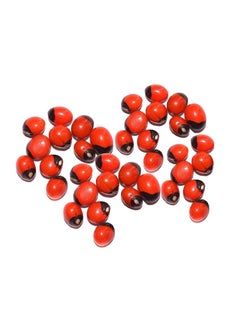 advancedestore advancedestore || Pooja Samagri | Natural Rakt Gunja -Red Chirmi Beads -Abrus Seed -Gamanchi -Gaunchi -Rati -Gulaganji -Guruvinda -Guruginia -51 pcs -Good for Wealth Benefit  - Image 3