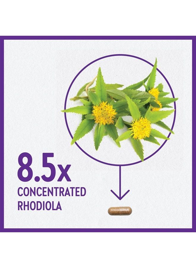 New Chapter Rhodiola Force 300mg with Potent Vegan Rhodiola for Mental Focus & Stamina, Endurance + Mood Support + Stress Adaptogen + Non-GMO Ingredients - 30 Count - Image 4