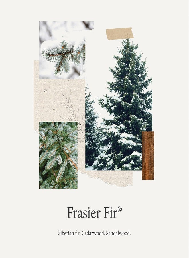 Thymes Frasier Fir Concentrated Laundry Detergent - Image 3