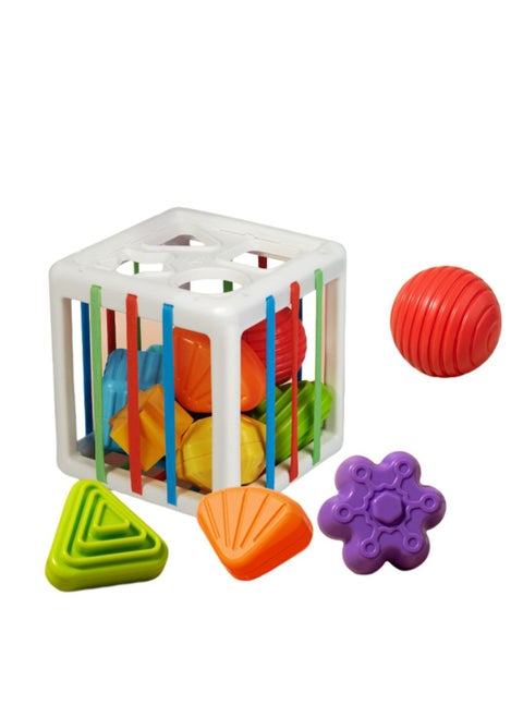Sensory Toys Shape Sorter, Baby Blocks Colorful Textured Balls Sorting Games