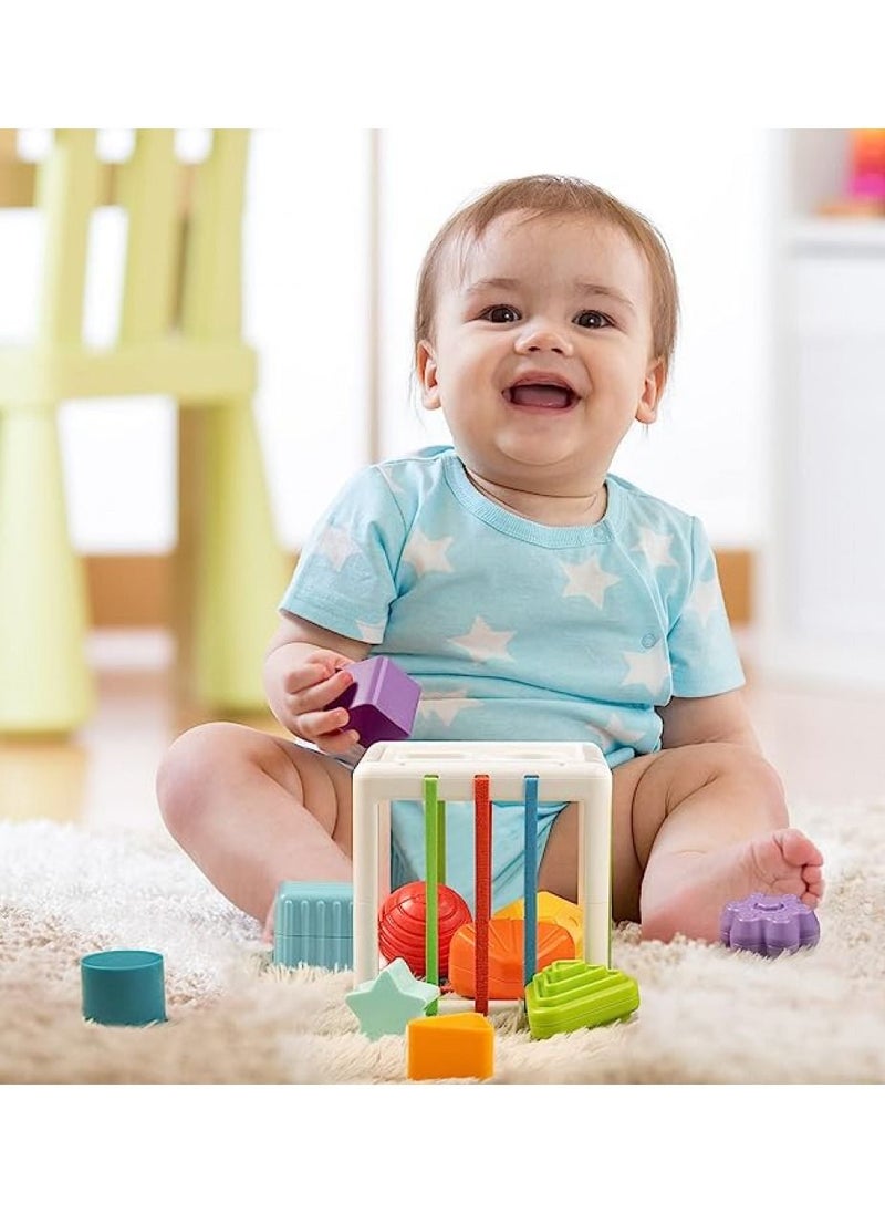 Sensory Toys Shape Sorter, Baby Blocks Colorful Textured Balls Sorting Games