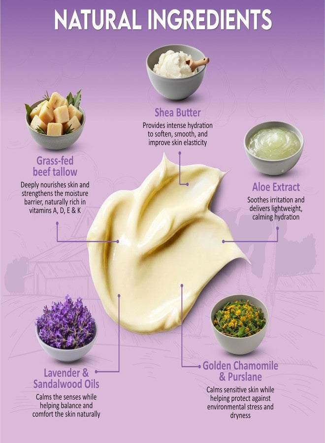 gerglam Beef Tallow for Skin, Whipped Beef Tallow Balm for Face & Body with Shea Butter and Lavender Oil, Grass Fed Beef Tallow for Eczema, Dry Sensitive Skin and Rosacea 4 Oz (Vanilla Lavender - Image 3