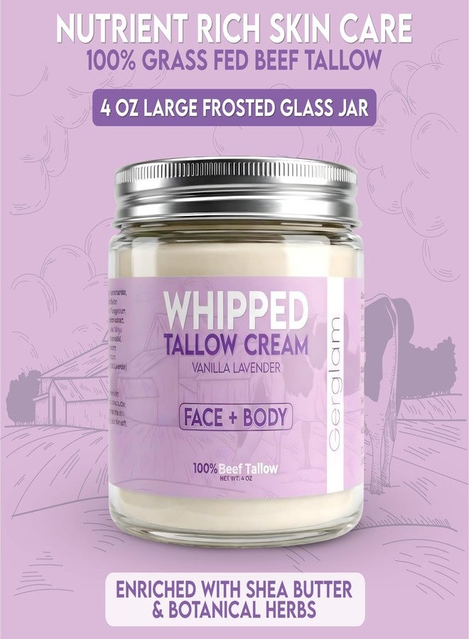 gerglam Beef Tallow for Skin, Whipped Beef Tallow Balm for Face & Body with Shea Butter and Lavender Oil, Grass Fed Beef Tallow for Eczema, Dry Sensitive Skin and Rosacea 4 Oz (Vanilla Lavender - Image 2
