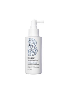 Briogeo Briogeo Scalp Revival Charcoal + Tea Tree Buildup Detox Spray, Dry Scalp Pre-Wash Treatment for Dry Scalp & Itchy Scalp, Build Up, Detox Spray, Unclog Hair Follicles, Vegan, Cruelty-Free, 4 fl oz  - Image 1