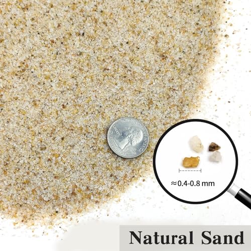 FANTIAN 10 lbs Aquarium Silica Sand. Decorative Mini Aquarium Gravel Substrate for Fish Tank, Plants Potted, Fire Pits, Candle, Vase Filler and Crafts - Image 2
