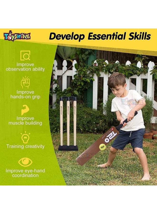 Toyshine Speed Up T-20 Combo Box Cricket Kit for Kids (Bat Size: 4, 5-10 yrs) Outdoor Sports Toy Gift for Boys Girls Picnic Fun - SSTP (Brown) - Image 4