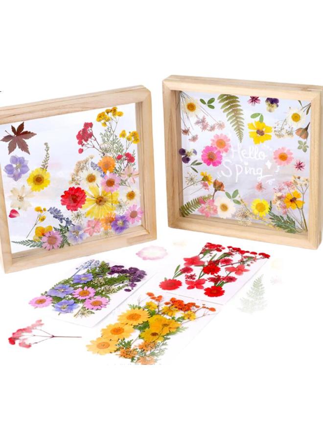 Jiamo Transparent Dried Flower Bookmark Handmade Diy Material Pack Specimen Pvc Sealing Film Creative Plant Leaf Pressed Flower Cowhide Paper Bottle Hanging Bottle Elementary School Student Pressed Pe - Image 3