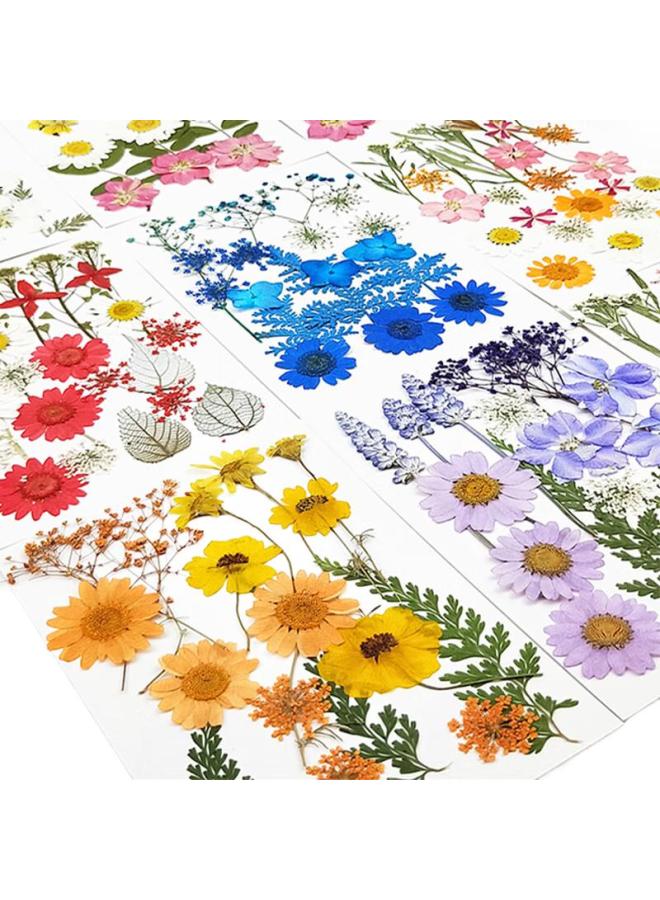 Jiamo Transparent Dried Flower Bookmark Handmade Diy Material Pack Specimen Pvc Sealing Film Creative Plant Leaf Pressed Flower Cowhide Paper Bottle Hanging Bottle Elementary School Student Pressed Pe - Image 2