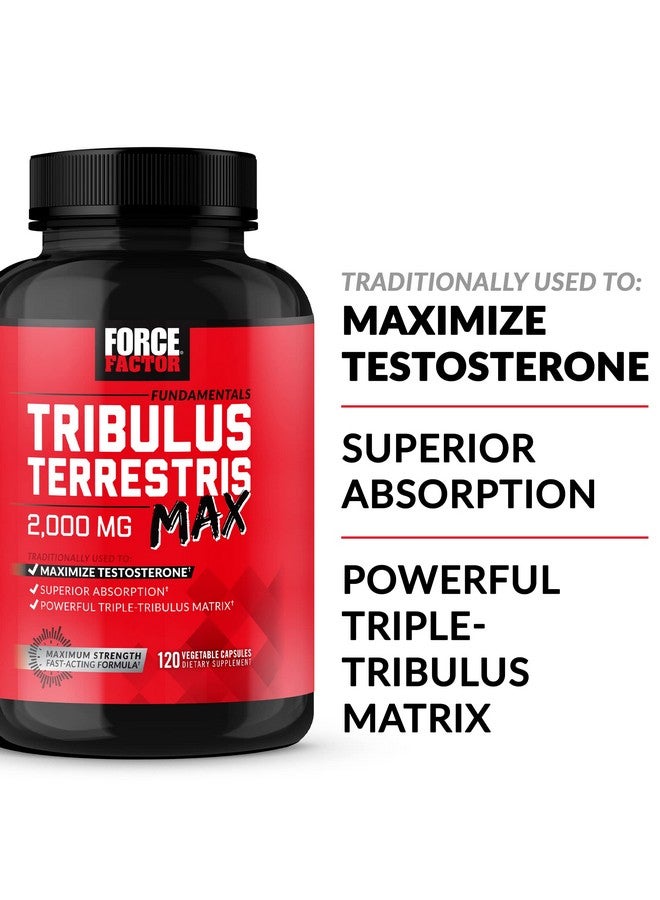 FORCE FACTOR Tribulus Terrestris Max for Men, Testosterone Booster and Male Vitality Supplement, for Superior Absorption, 2000mg, 120 Capsules - Image 2